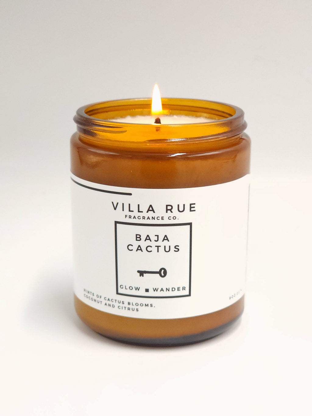 Villa Rue Baja Cactus soy candle — 8oz Amber Jar