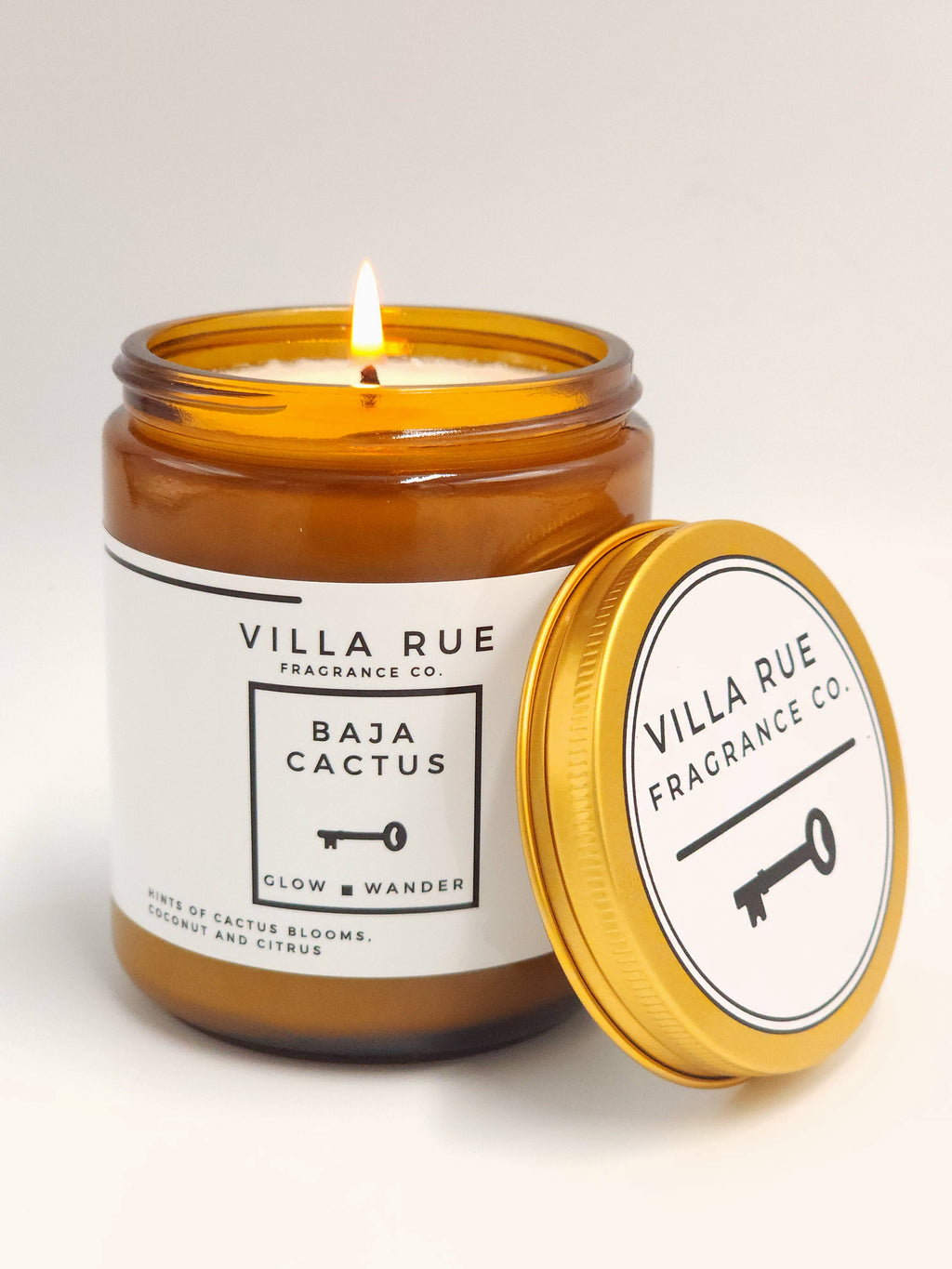 Villa Rue Baja Cactus soy candle — 8oz Amber Jar