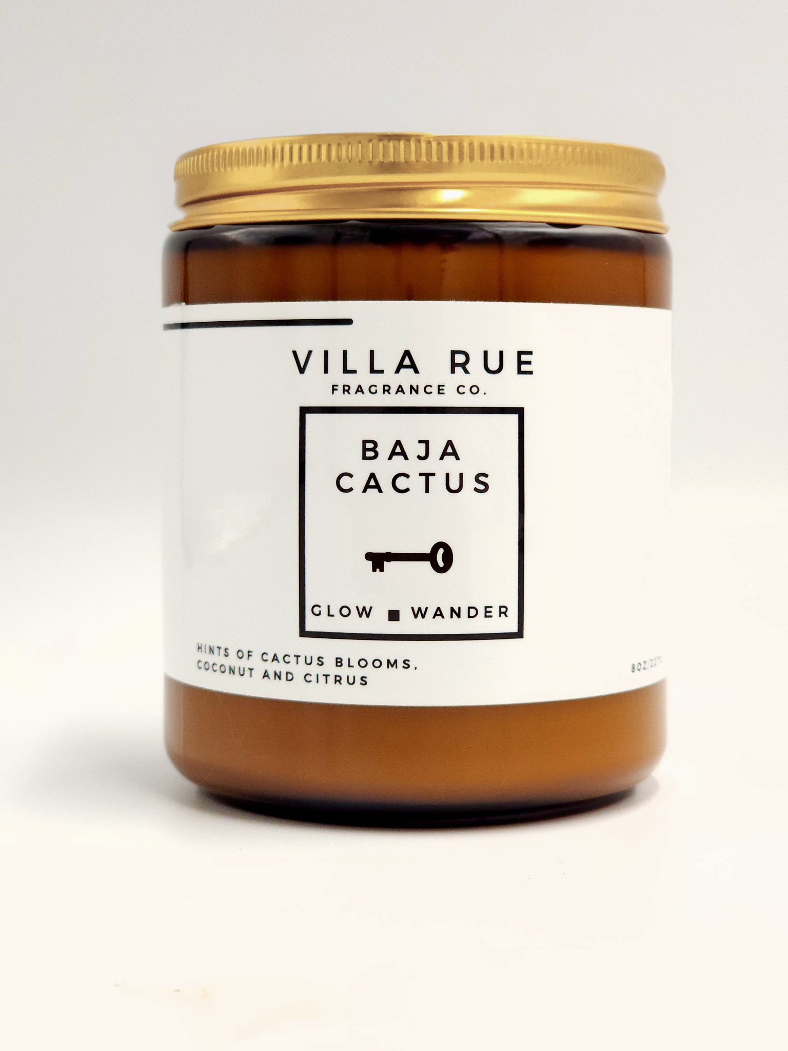 Villa Rue Baja Cactus soy candle — 8oz Amber Jar