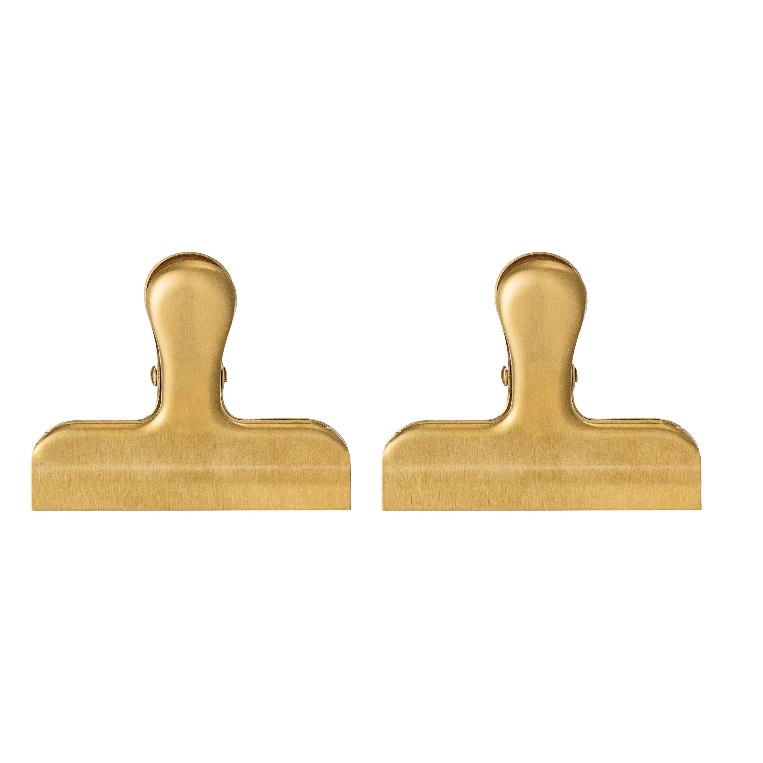 Shimmering Gold Metal Clip