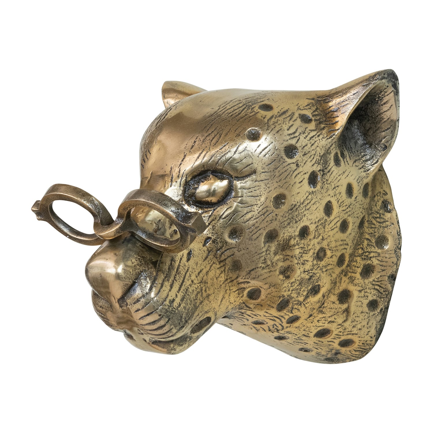 Brass Leopard Head Wall Art with Glasses