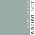 Wise Owl One Hour Enamel — Seeded Eucalyptus