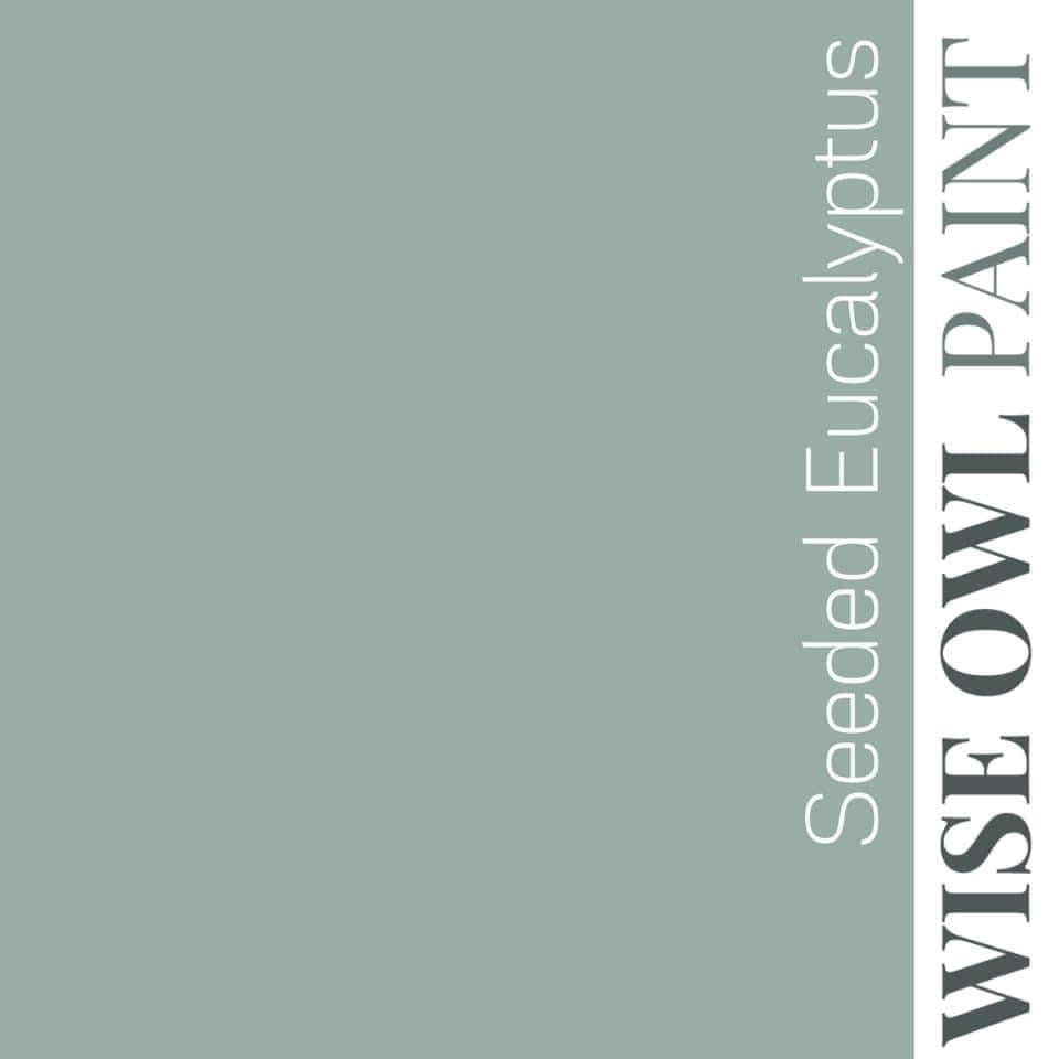 Wise Owl One Hour Enamel — Seeded Eucalyptus