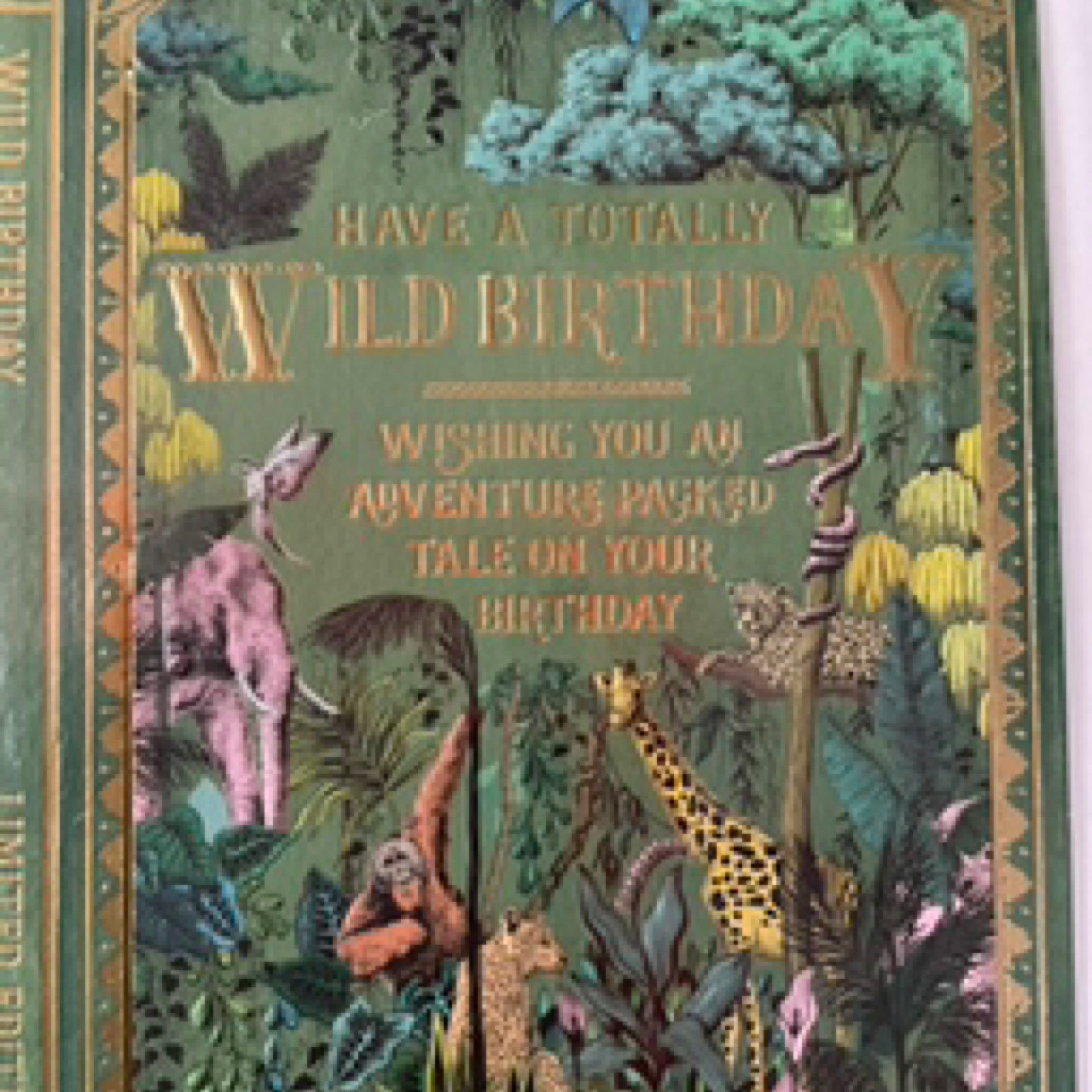 Notes & Queries Birthday Book Card — Totally Wild