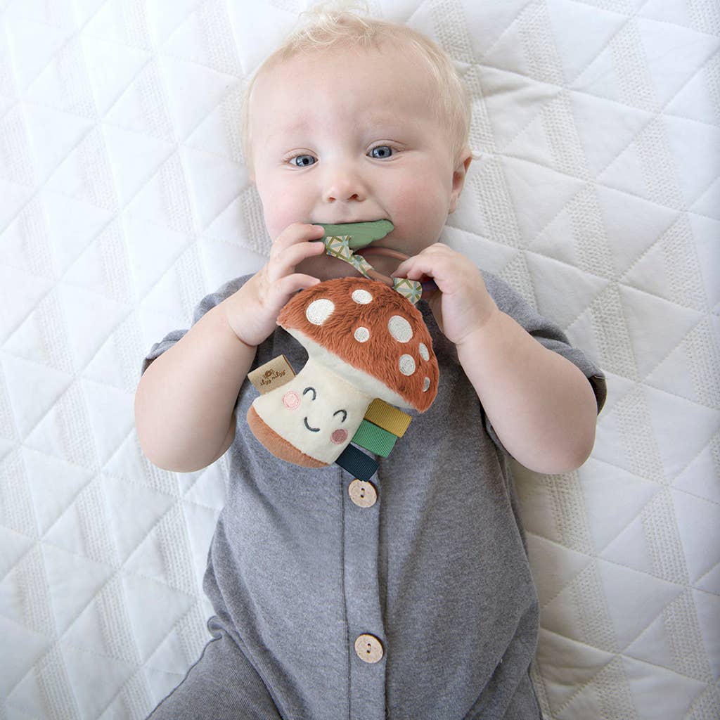 Itzy Ritzy Plush Pal Teether - Dino, Mushroom, Rainbow
