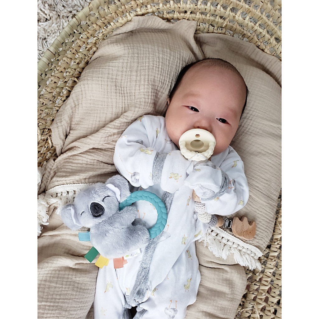 Itzy Ritzy Plush Rattle Pal with Teether