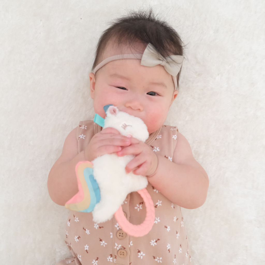 Itzy Ritzy Plush Rattle Pal with Teether