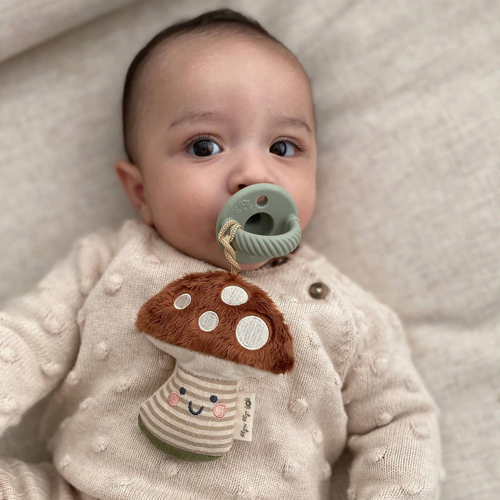 Itzy Ritzy Sweetie Pal Plush and Pacifier