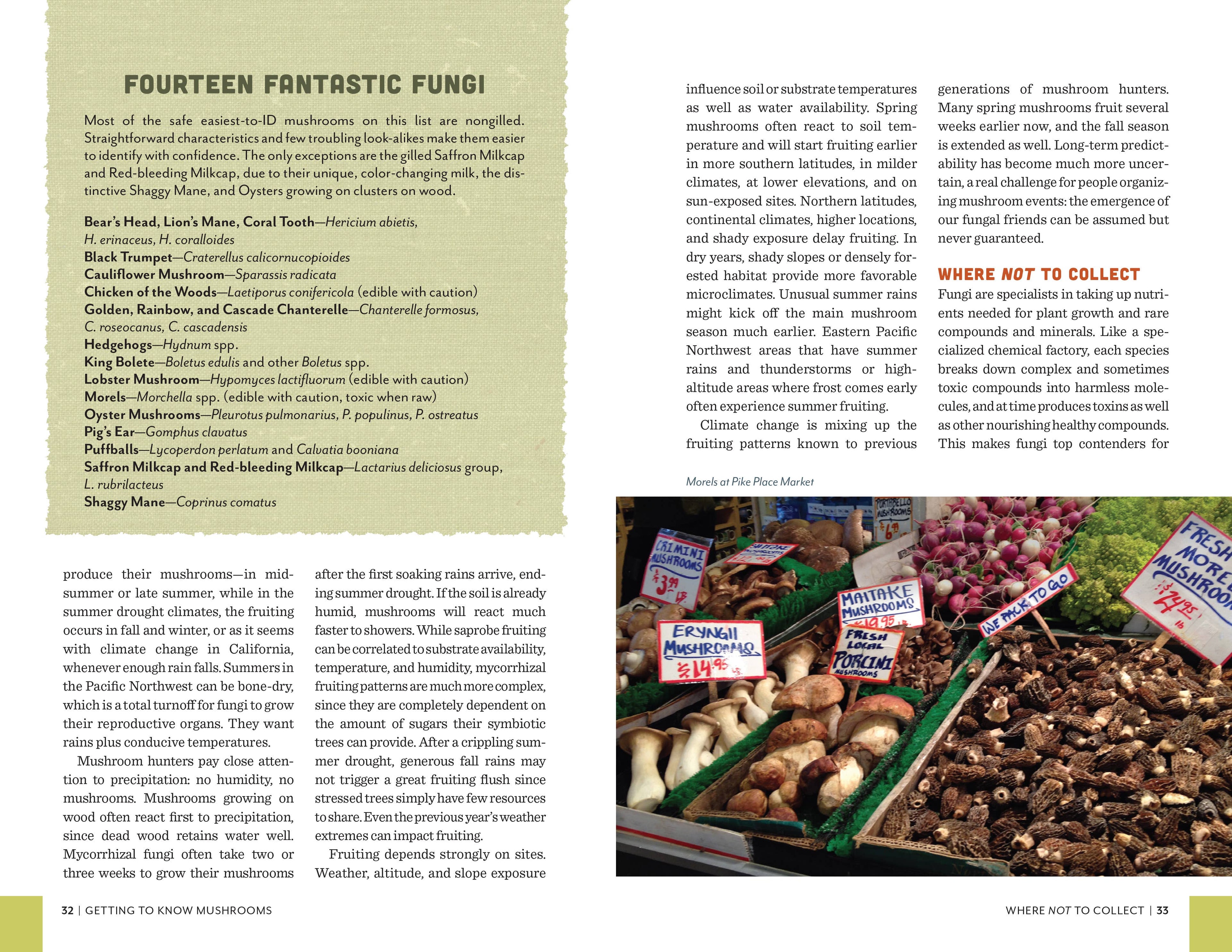 Fruits of the Forest: A Field Guide to PNW Edible Mushrooms