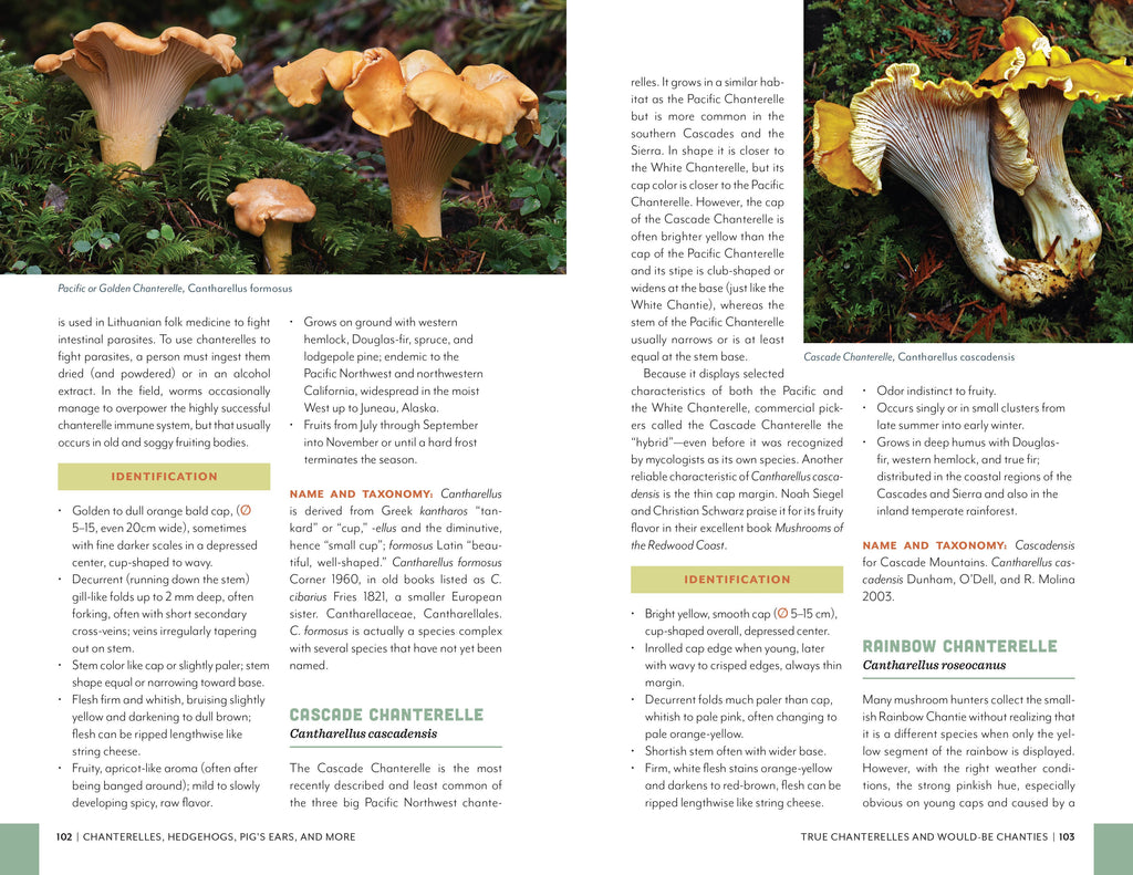 Fruits of the Forest: A Field Guide to PNW Edible Mushrooms