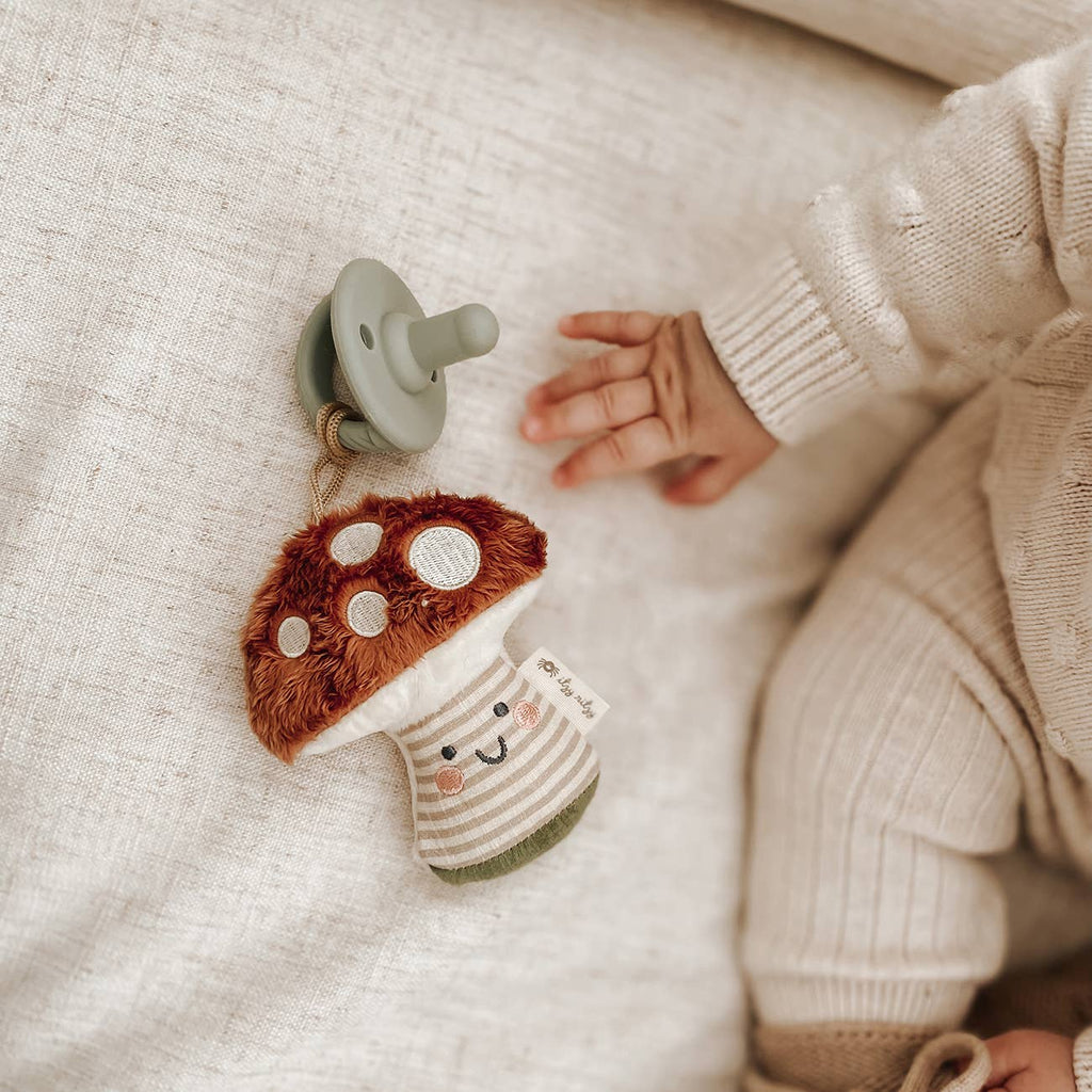 Itzy Ritzy Sweetie Pal Plush and Pacifier