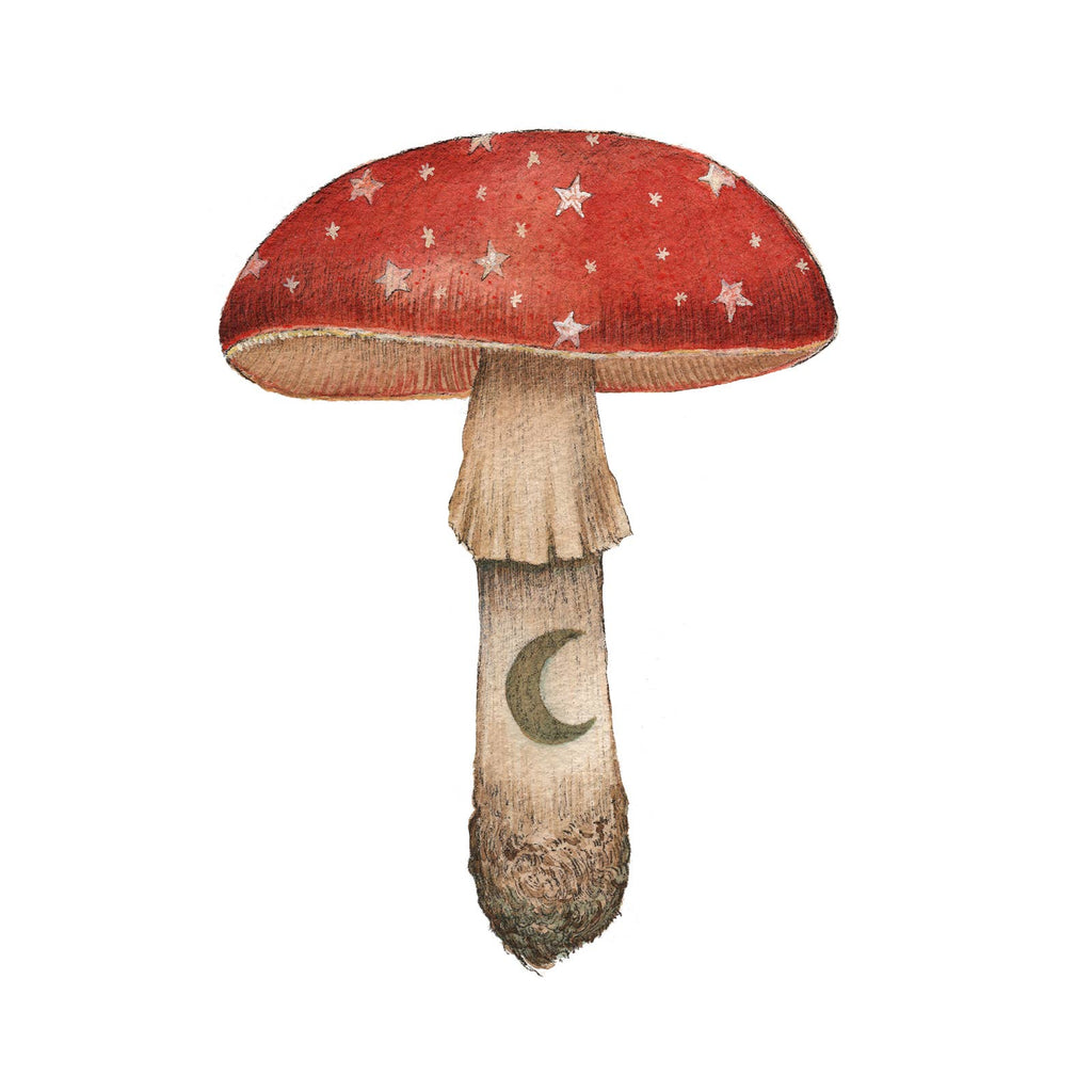 Polanshek of the Hills 5×7 Art Print — Mineral Mushroom (Ruby)