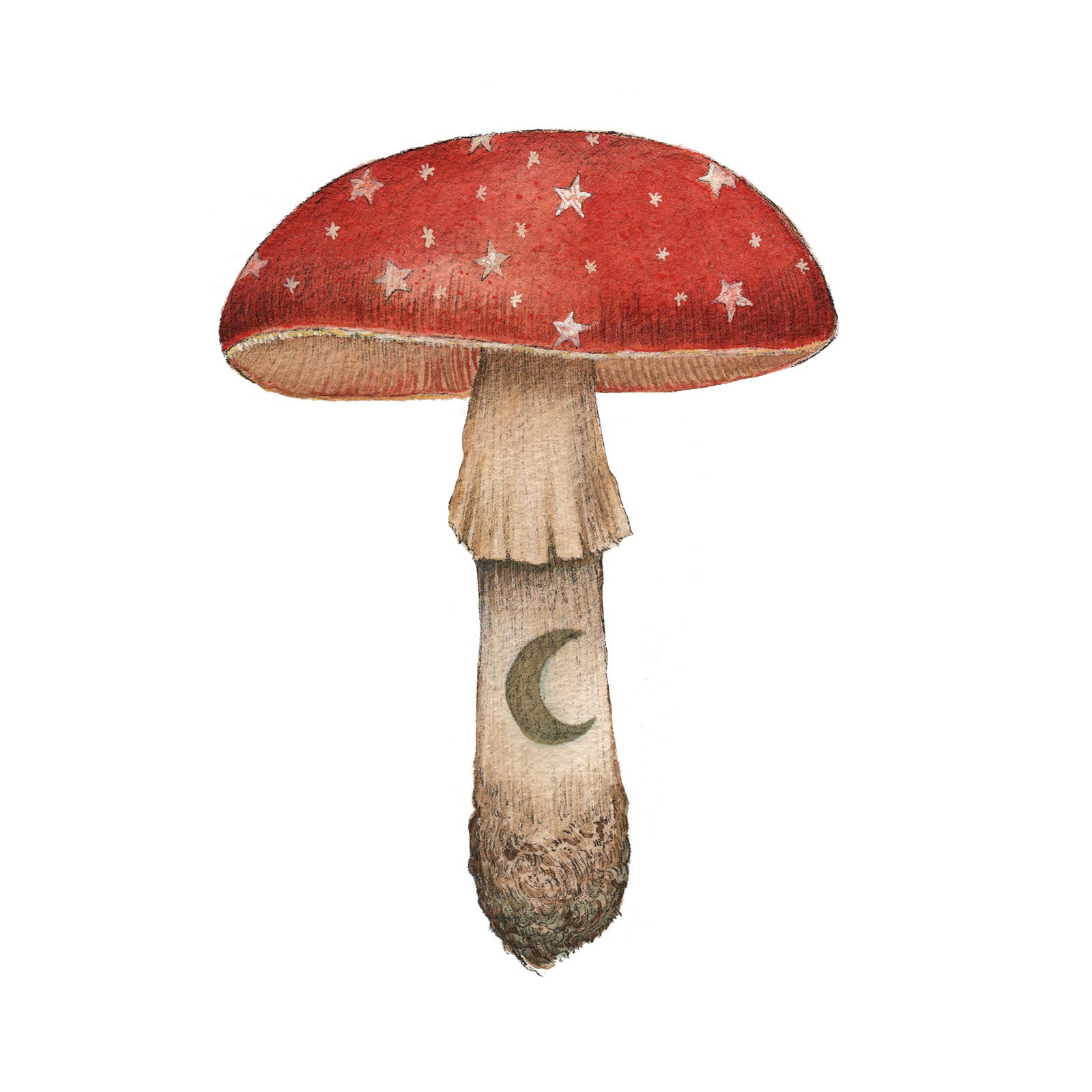 Polanshek of the Hills 5×7 Art Print — Mineral Mushroom (Ruby)