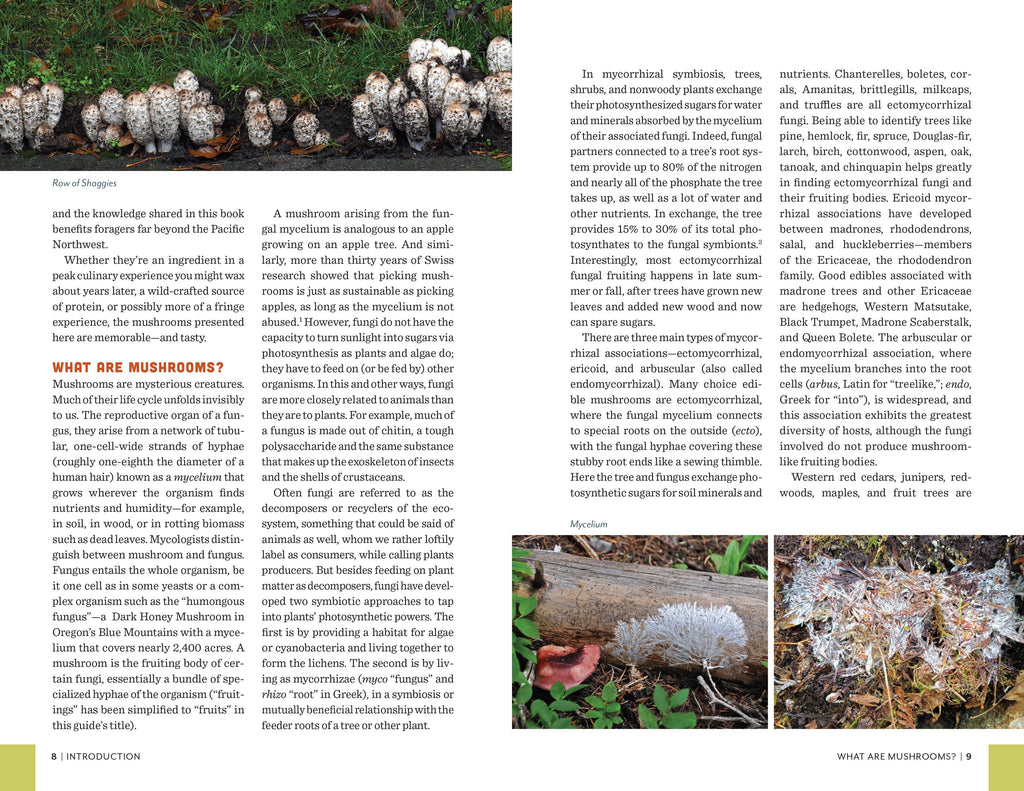 Fruits of the Forest: A Field Guide to PNW Edible Mushrooms