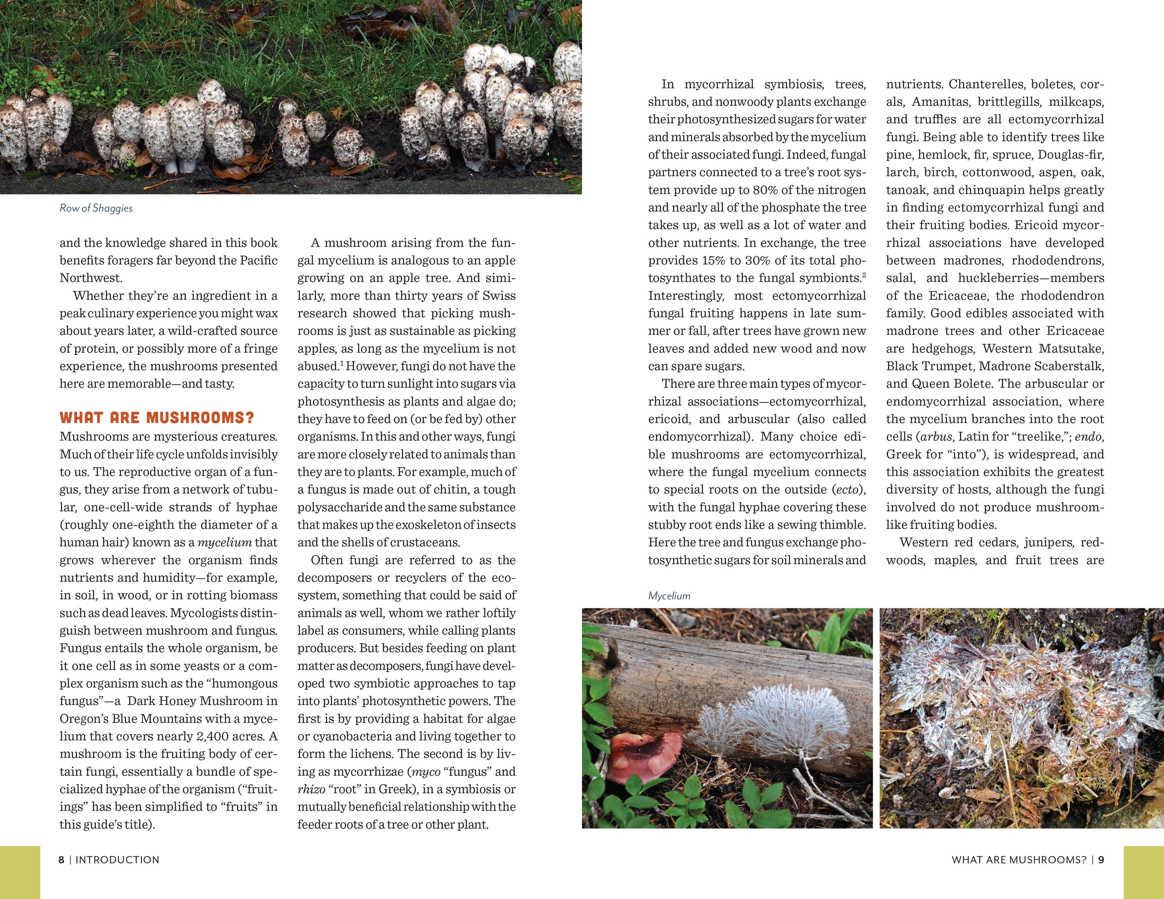 Fruits of the Forest: A Field Guide to PNW Edible Mushrooms