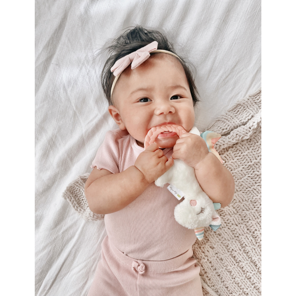Itzy Ritzy Plush Rattle Pal with Teether