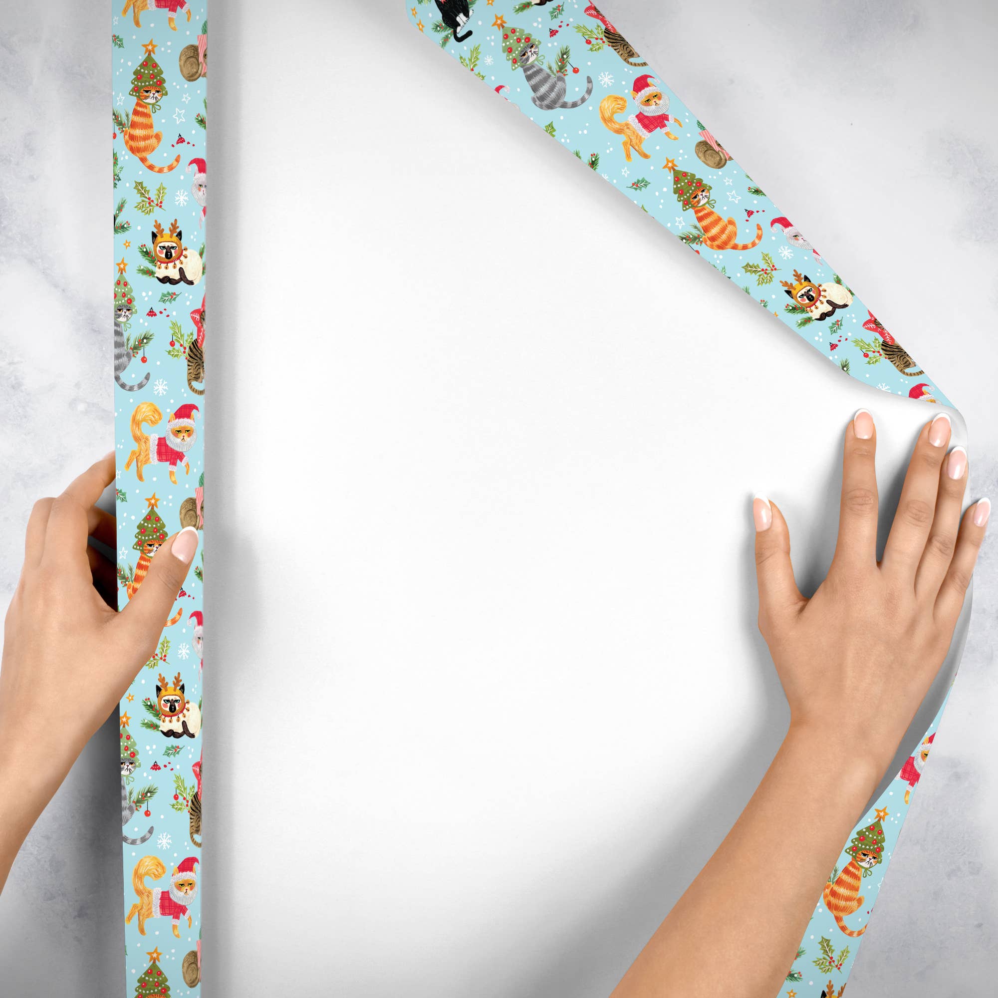Jillson & Roberts Naughty Cats Holographic Wrapping Paper Roll