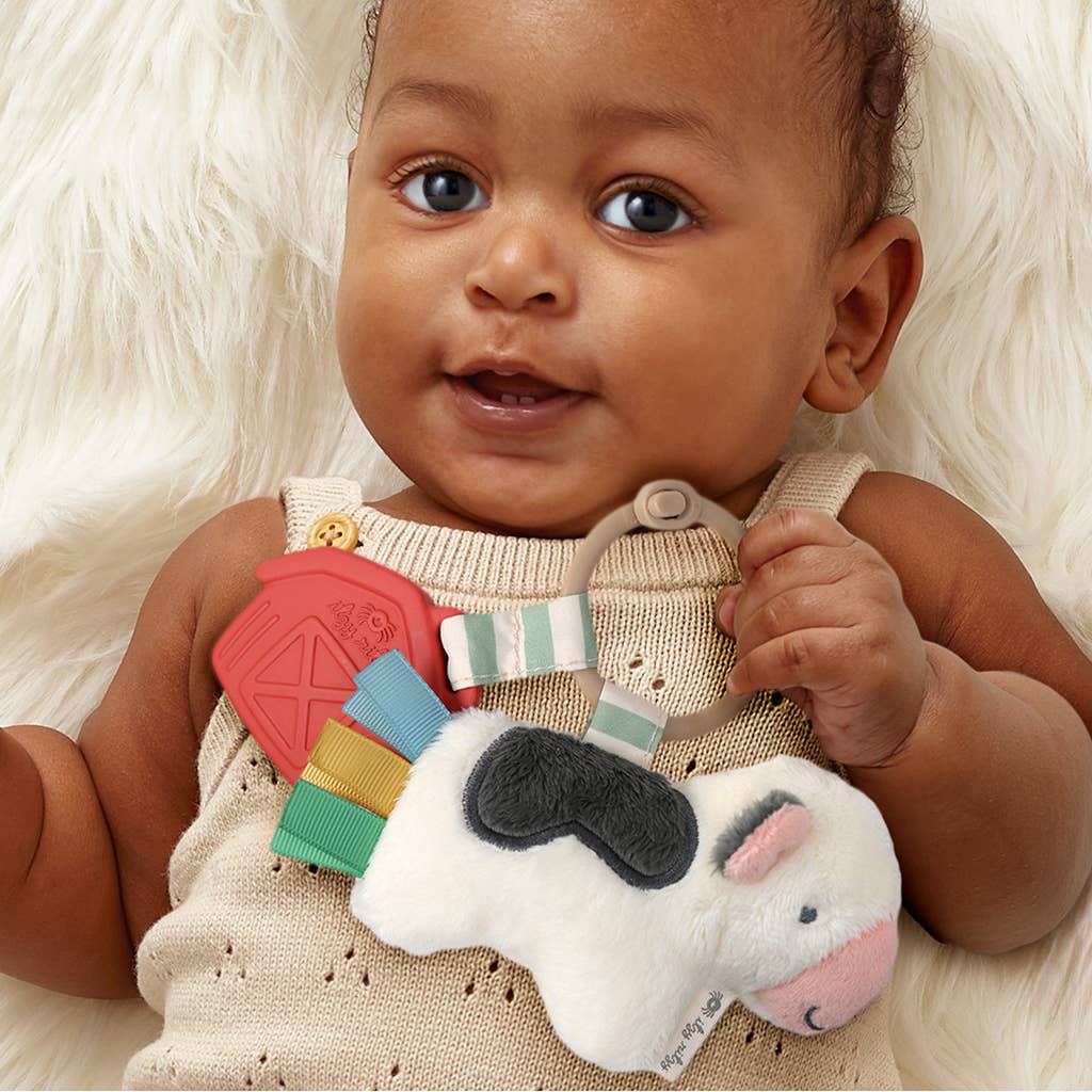 Itzy Ritzy Itzy Pal Cow Plush Teether Toy