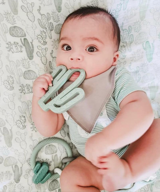 Itzy Ritzy Silicone Rattle Teether