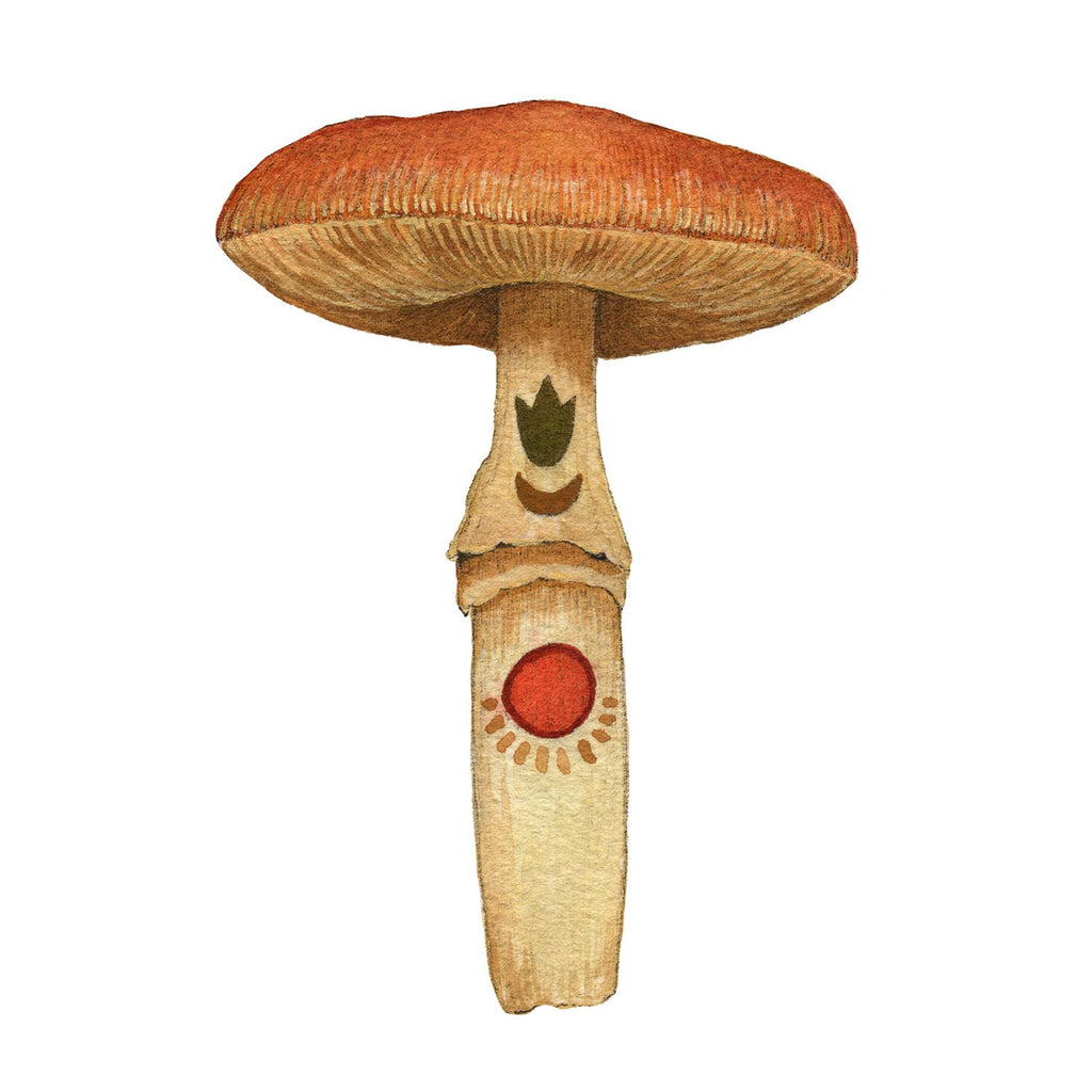 Polanshek of the Hills 5×7 Art Print — Mineral Mushroom (Carnelian)