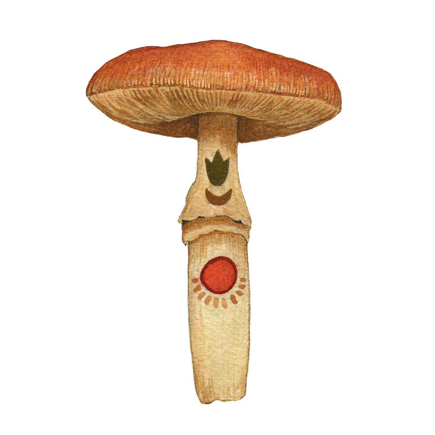 Polanshek of the Hills 5×7 Art Print — Mineral Mushroom (Carnelian)