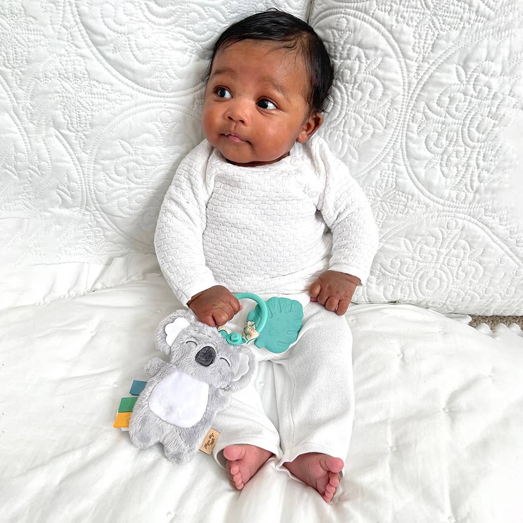 Itzy Ritzy Plush Pal Teether - Dino, Mushroom, Rainbow