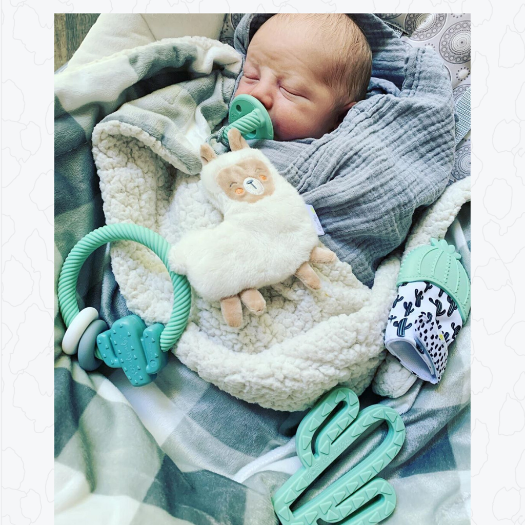 Itzy Ritzy Silicone Rattle Teether