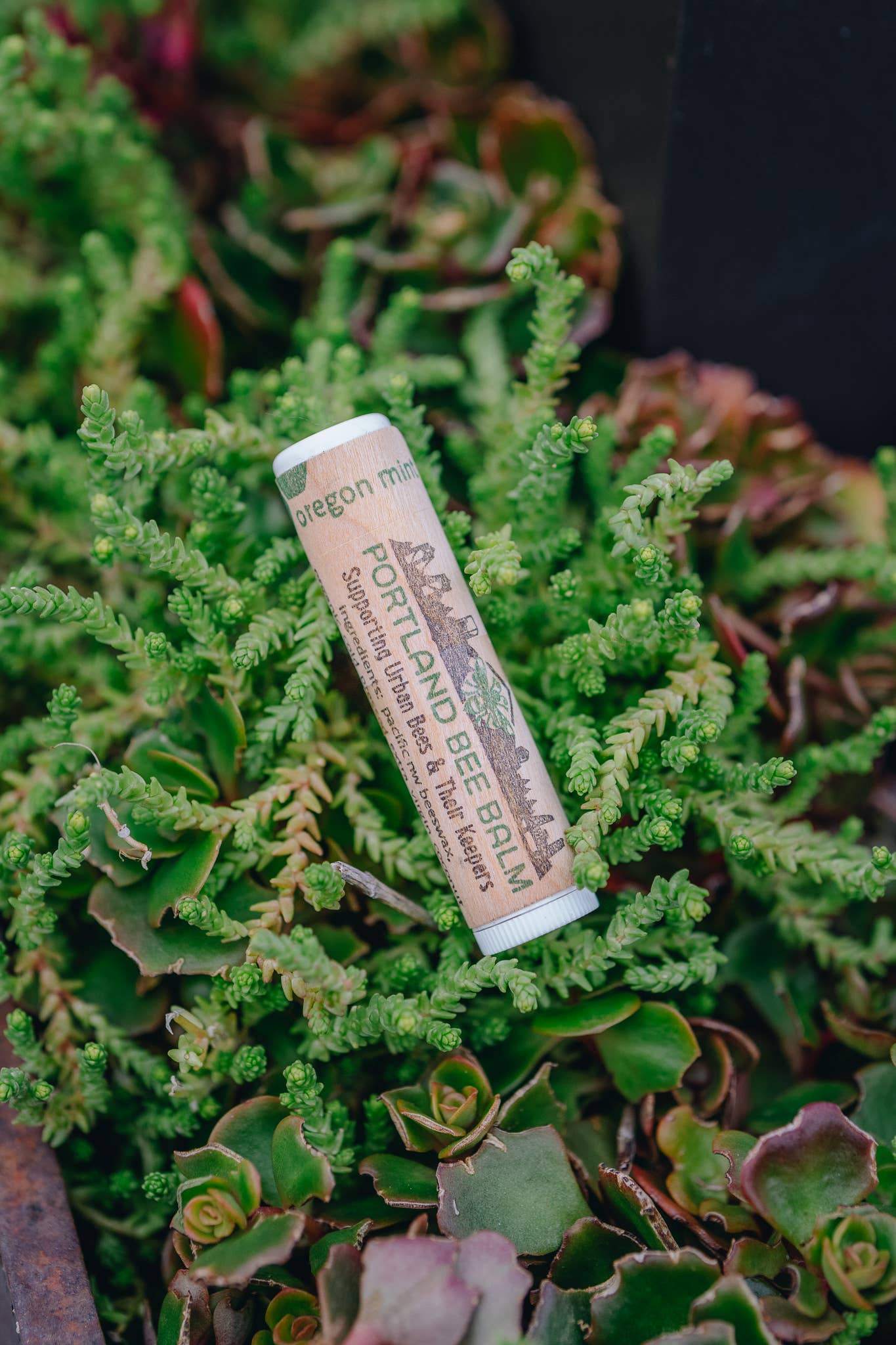 Portland Bee Balm Oregon Mint Beeswax Lip Balm