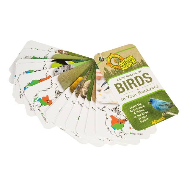 Toysmith Outdoor Discovery Little Birder Set