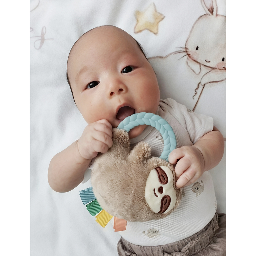 Itzy Ritzy Plush Rattle Pal with Teether