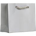 Jillson & Roberts Silver Matte Gift Tote - Tiny