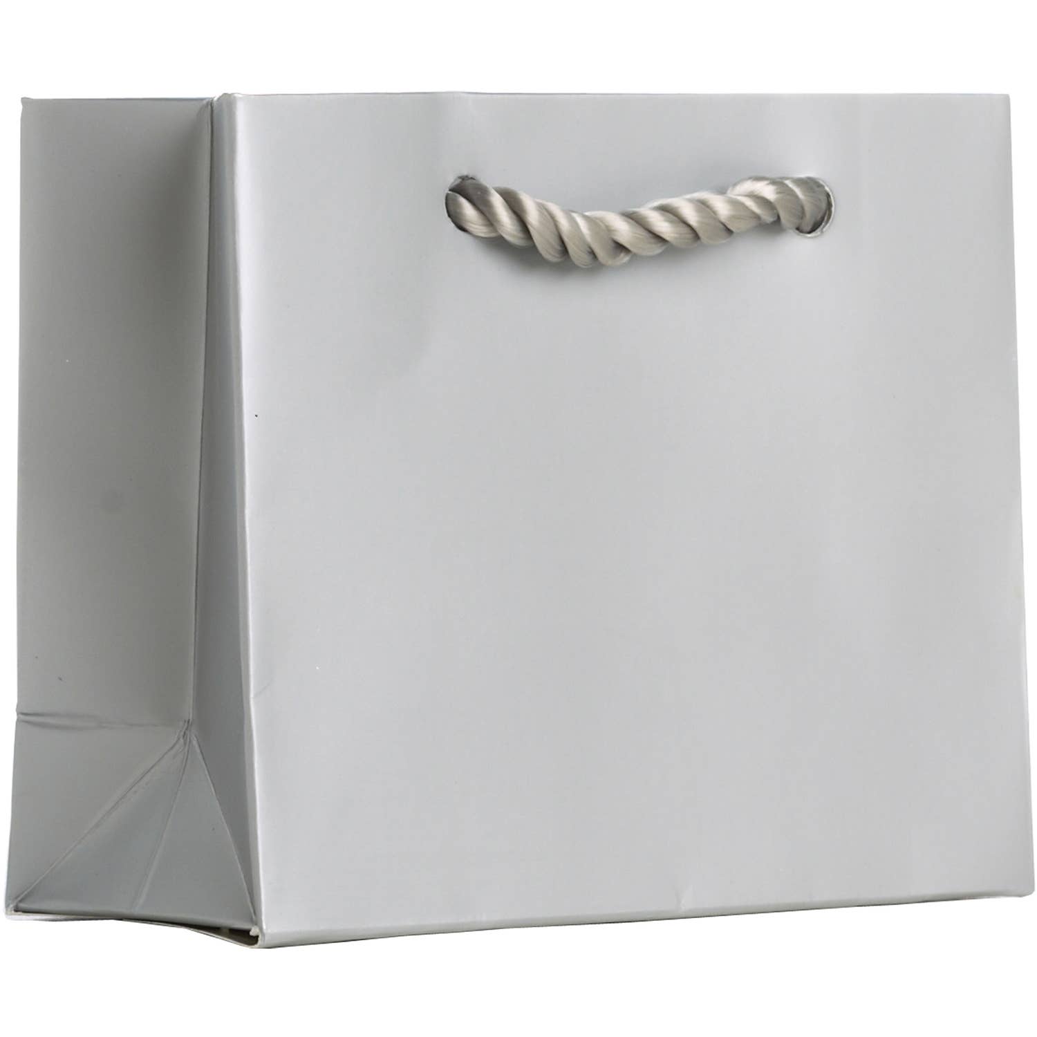 Jillson & Roberts Silver Matte Gift Tote - Tiny