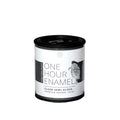 Wise Owl One Hour Enamel — Clear Semi Gloss