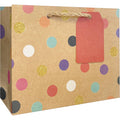 Jillson & Roberts Party Dot Gift Bag — Small