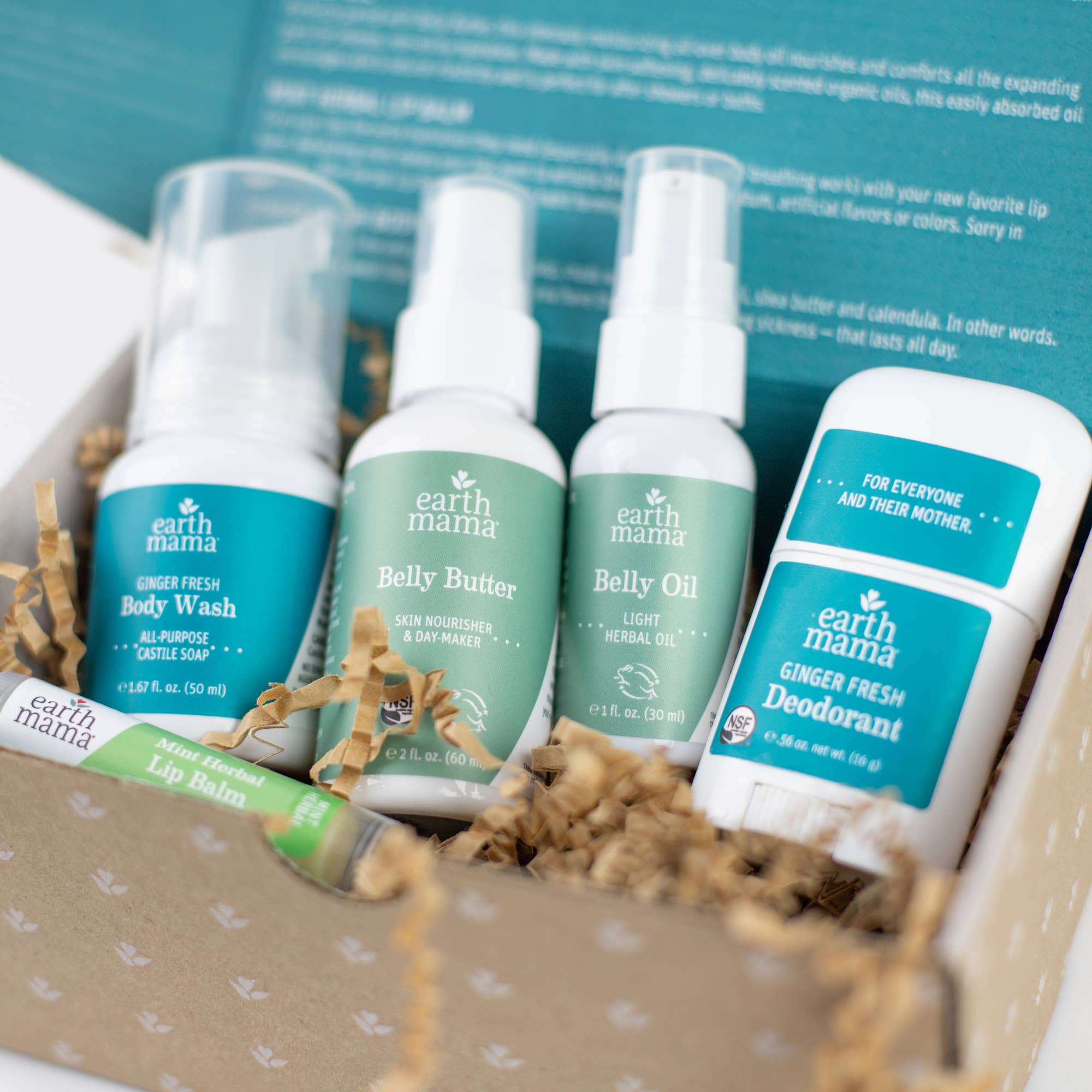 Earth Mama A Little Something For Mama-To-Be Gift Set