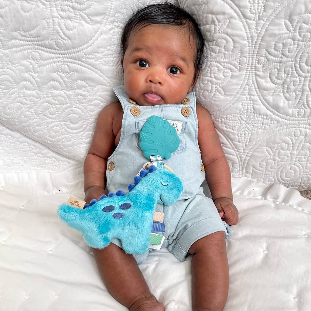 Itzy Ritzy Plush Pal Teether - Dino, Mushroom, Rainbow