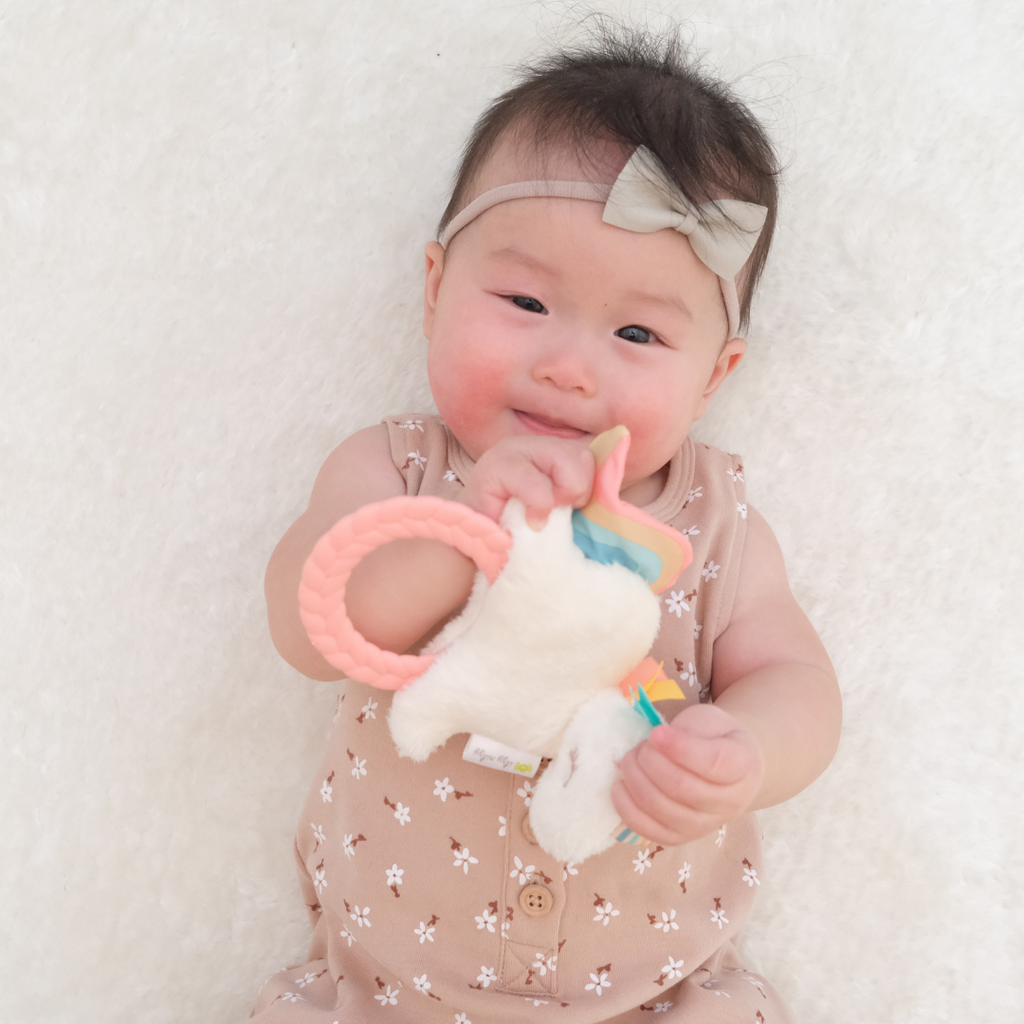 Itzy Ritzy Plush Rattle Pal with Teether