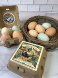 Fire Lake Soapery Farm Eggs Soap Gift Set