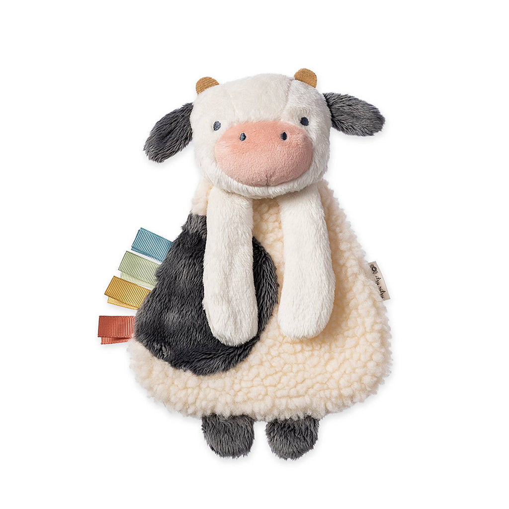 Itzy Ritzy Bitzy Busy Gift Set