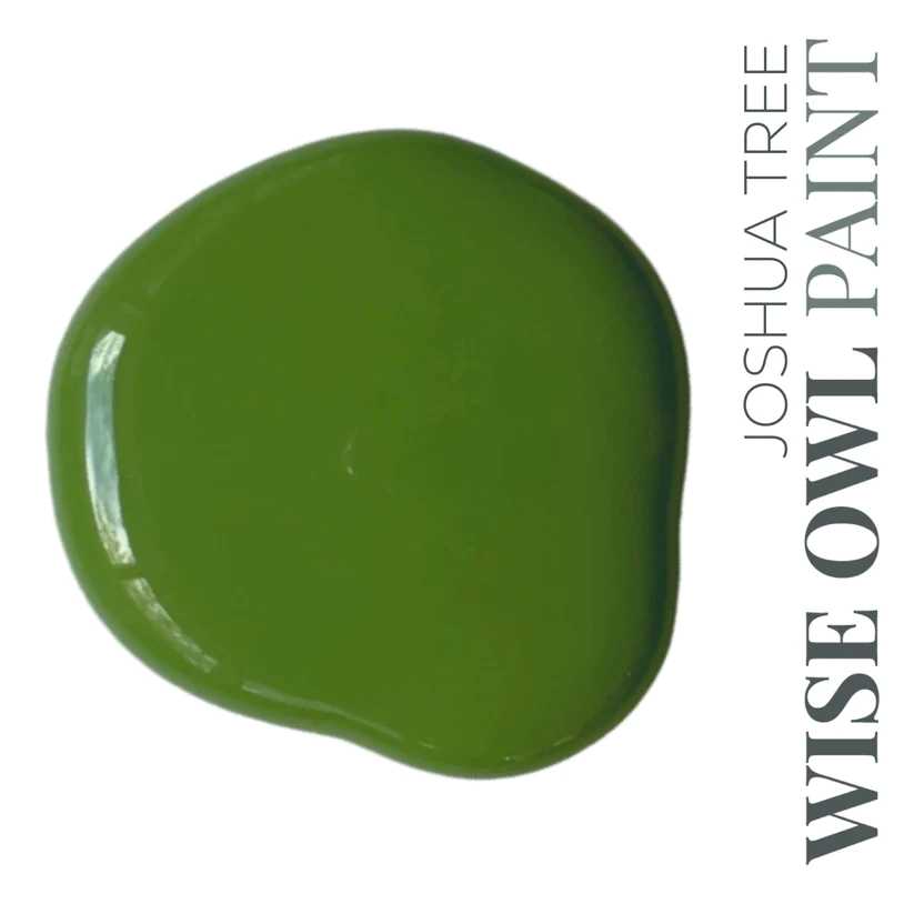Wise Owl Chalk Synthesis Paint — Joshua Tree