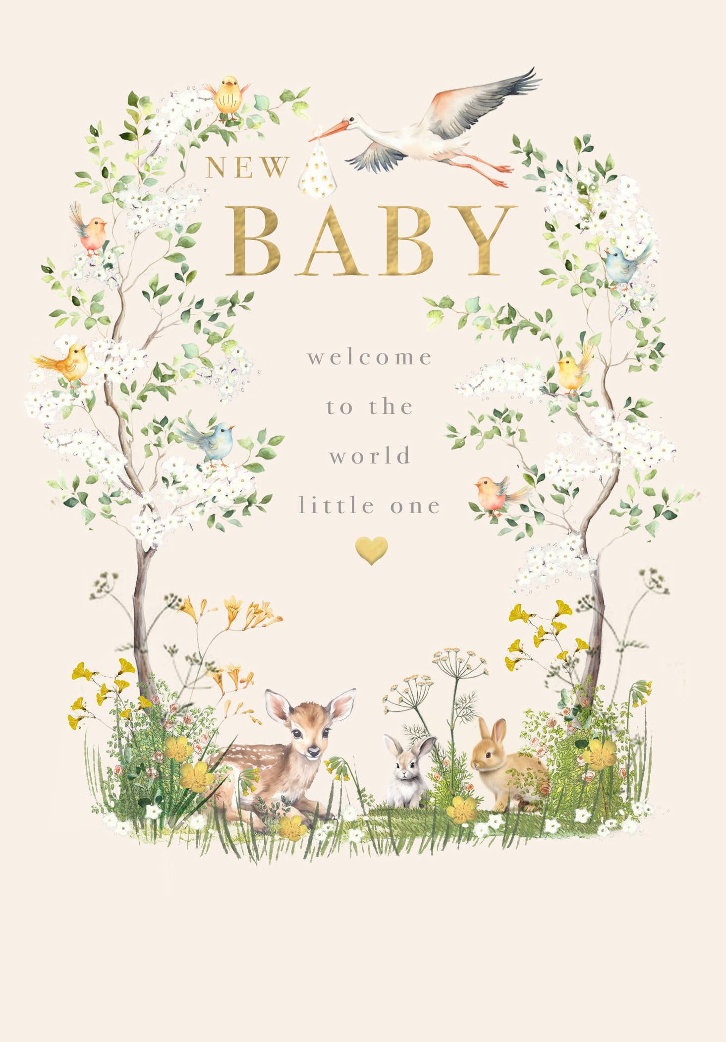 Notes & Queries Baby Card — Forest