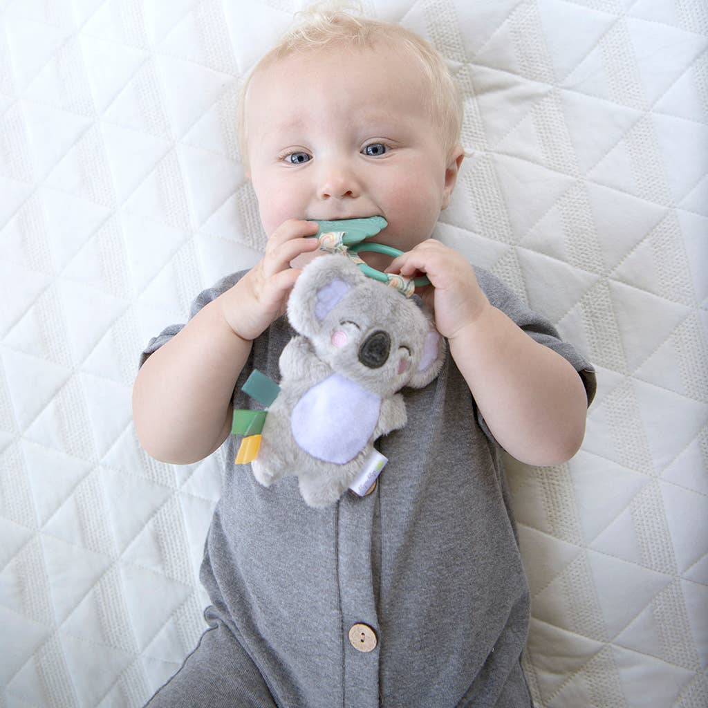 Itzy Ritzy Plush Pal Teether - Dino, Mushroom, Rainbow