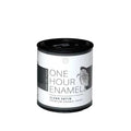 Wise Owl One Hour Enamel — Clear Satin