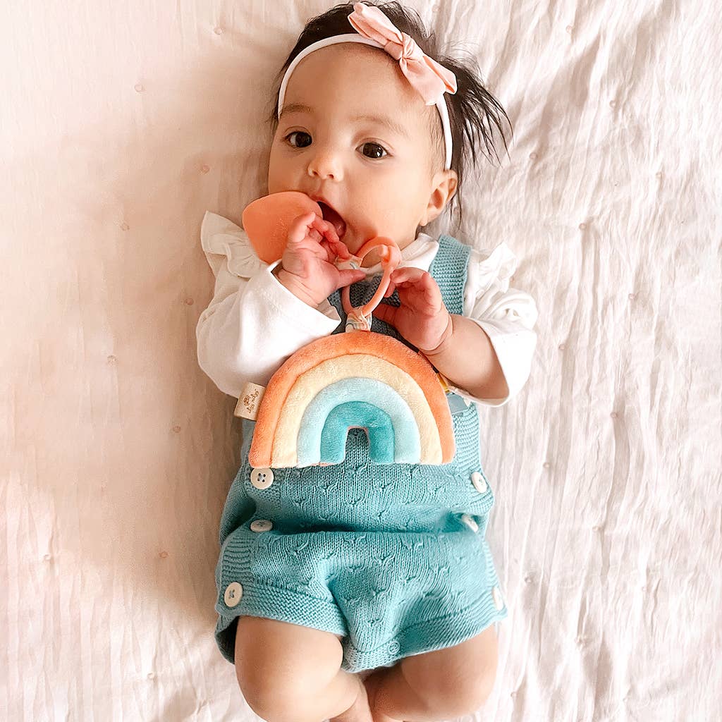 Itzy Ritzy Plush Pal Teether - Dino, Mushroom, Rainbow
