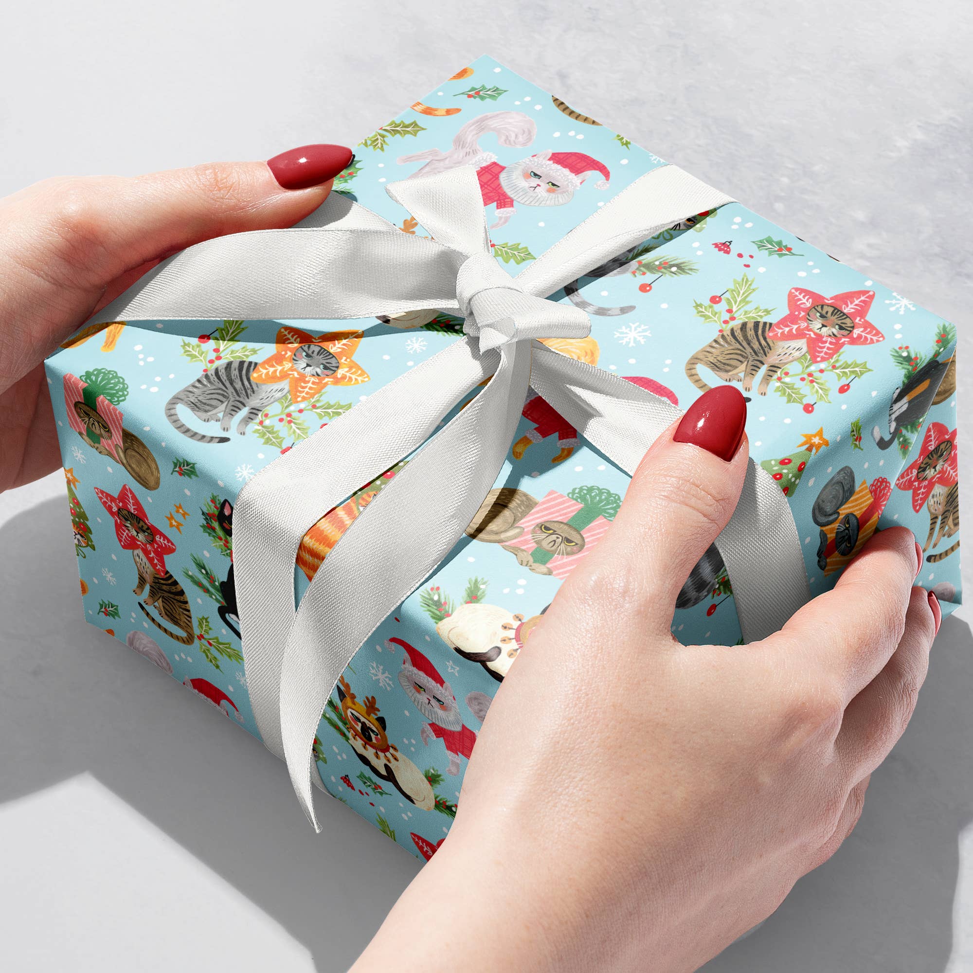 Jillson & Roberts Naughty Cats Holographic Wrapping Paper Roll