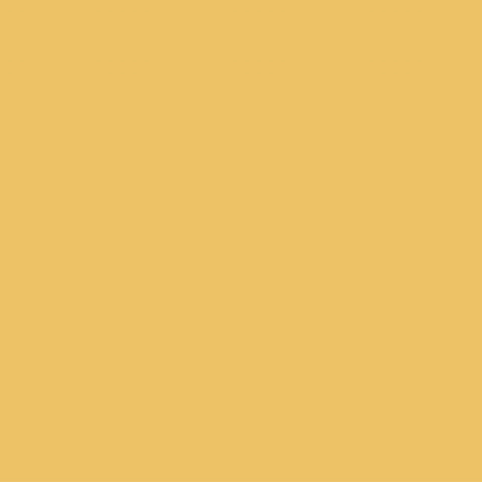 Wise Owl Chalk Synthesis Paint — Goldenrod