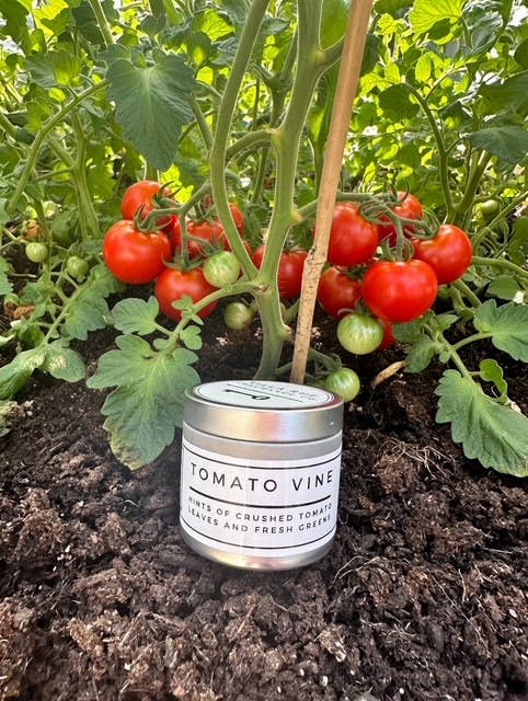 Villa Rue tomato vine soy candle — 2oz Tin